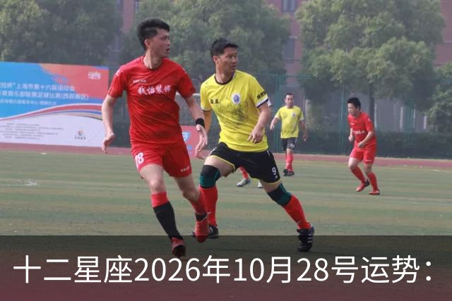 十二星座2026年10月28号运势：生活节奏变得欢快