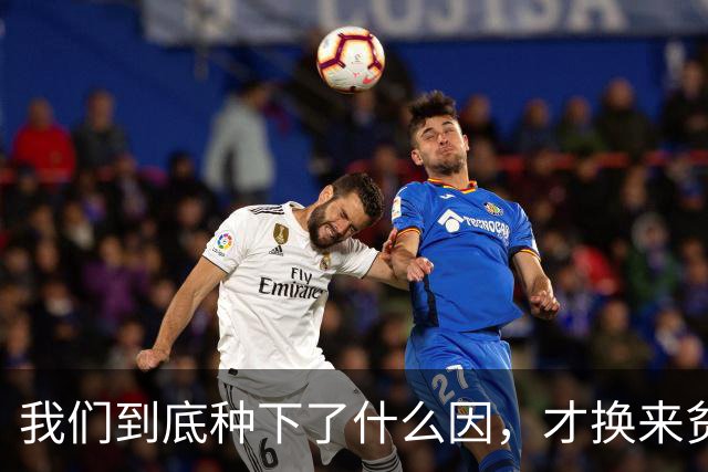 我们到底种下了什么因，才换来贫富分化、年轻人不婚不育的果？