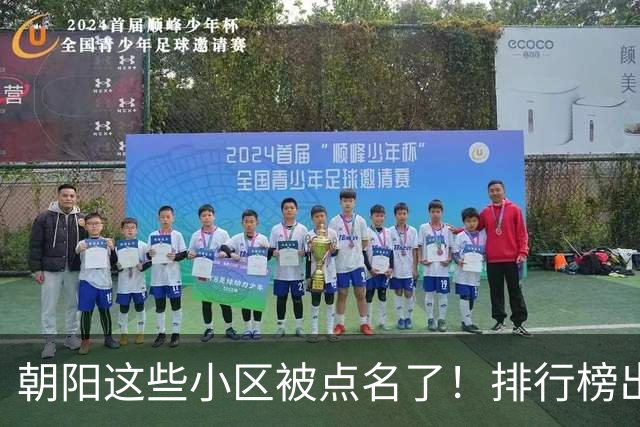 朝阳这些小区被点名了！排行榜出炉，快来看看有没有您家——