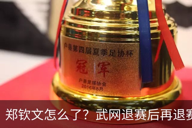 郑钦文怎么了？武网退赛后再退赛，连退4站比赛，提前告别本赛季